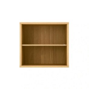 Mistral Module with Shelf