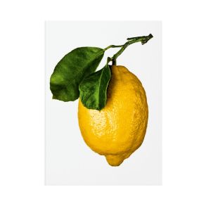 New Mags The Gourmand's Lemon. A Collection of Stories and Recipes